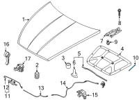 OEM 2021 Hyundai Sonata Lifter-Hood, LH Diagram - 81161-L0000