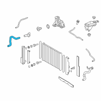 OEM 2012 Scion xB Lower Hose Diagram - 16572-28240