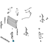 OEM 2002 BMW 325xi Bracket For.Radiator Diagram - 17-11-1-436-264