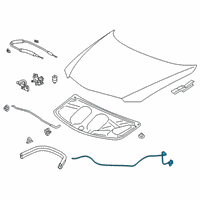 OEM 2018 Acura ILX Wire Assembly, Hood (Premium Black) Diagram - 74130-TV9-A01ZA