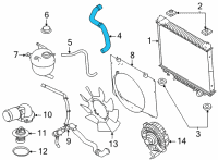 OEM Ford E-350 Super Duty Upper Hose Diagram - LC2Z-8260-A