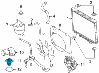 OEM 2021 Ford E-350 Super Duty Thermostat Diagram - LC3Z-8575-A