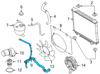 OEM 2022 Ford E-350 Super Duty Lower Hose Diagram - LC2Z-8286-B