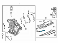 OEM 2021 Ford Bronco Valve Cover Gasket Diagram - JT4Z-6584-E