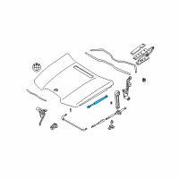 OEM BMW 750Li Gas Pressurized Spring, Hood Diagram - 51-23-8-240-596