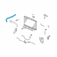 OEM 2008 Honda Accord Hose, Water (Upper) Diagram - 19501-R40-A01