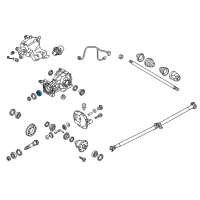 OEM Kia Bearing-Pinion, Outer Diagram - 530483B500