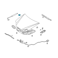 OEM Hyundai Bracket Assembly-Hood LIFTER Mounting, L Diagram - 81162-2C000