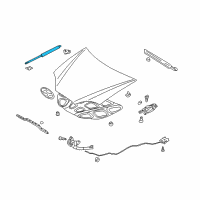 OEM Hyundai Tiburon Lifter-Hood, LH Diagram - 81161-2C001