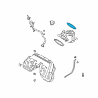 OEM Toyota Fuel Pump O-Ring Diagram - 77169-WAA01