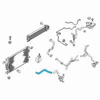 OEM 2020 Ford Fusion Upper Hose Diagram - DG9Z-8260-G