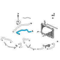 OEM 2004 Honda S2000 Hose, Water (Lower) Diagram - 19502-PCX-010