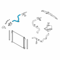 OEM Lexus NX200t Hose, Sub-Radiator Diagram - 16554-36011