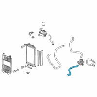 OEM 2015 Honda Accord Hose, Radiator Outlet Diagram - 1J401-5K0-000