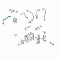 OEM 2009 Ford F-150 Vent Hose Diagram - 7C2Z-6A664-A