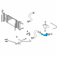 OEM 2010 Scion tC Thermostat Housing Diagram - 16321-28010