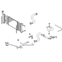 OEM 2010 Scion tC Radiator Cap Diagram - 16401-15520