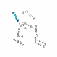 OEM Hyundai Genesis Hose & Clamp Assembly Diagram - 25450-B1500