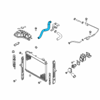 OEM 2006 Kia Sorento Hose-Radiator, Lower Diagram - 254123E200