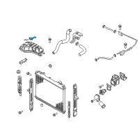 OEM Kia Rio Cap Assembly-Reservoir Diagram - 253303E000