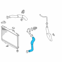 OEM 2002 Toyota Corolla Lower Hose Diagram - 16572-0D050