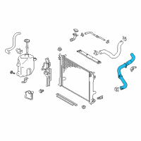 OEM 2019 Toyota Camry Lower Hose Diagram - 16571-F0010