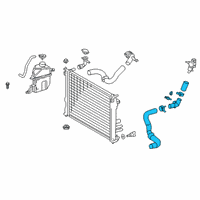OEM 2022 Lexus NX350 Cap Sub-Assy, Radiator Diagram - 16401-36030