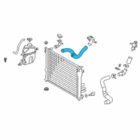 OEM 2018 Toyota Camry Filler Tube Diagram - 16897-F0051