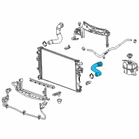OEM 2019 Chevrolet Malibu Radiator Inlet Hose Diagram - 84021221