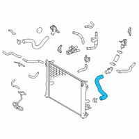 OEM 2022 Toyota Avalon Lower Hose Diagram - 16573-F0070