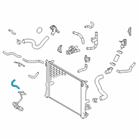 OEM 2020 Toyota Highlander By-Pass Hose Diagram - 16296-25020