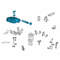 OEM Honda Accord Crosstour Canister Assembly Diagram - 17011-TA0-A01