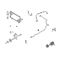 OEM 2001 Nissan Pathfinder Mounting Rubber Diagram - 92119-51E00