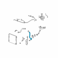 OEM 2006 Cadillac STS Radiator Outlet Hose (Lower) Diagram - 89025029
