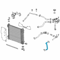 OEM 2015 Cadillac SRX Lower Hose Diagram - 19257724