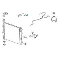 OEM 2020 Cadillac XT4 Upper Hose Clamp Diagram - 11548976