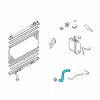 OEM Infiniti G35 Hose-Radiator, Lower Diagram - 21503-AL500