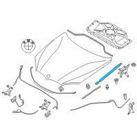 OEM 2015 BMW X5 Gas-Filled Strut, Engine-Compartment Lid Diagram - 51-23-7-294-524