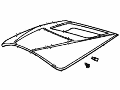Acura 77202-TGV-A42ZA Hood (Deep Black)