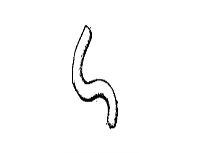 BMW 11-15-1-311-839 Hose