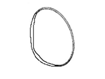 BMW 24-20-1-217-321 O-Ring