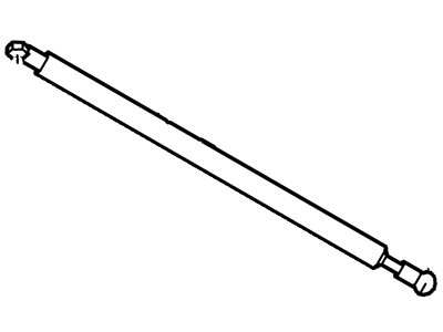 Ford 2L1Z-78406A10-BA Window Lift Cylinder