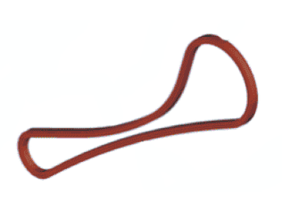 Ford GR3Z-6268-A Timing Chain
