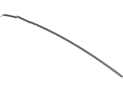 Ford DM5Z-5851728-A Roof Molding