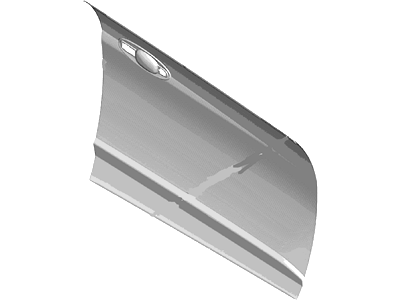 Ford DM5Z-5820200-A Outer Panel