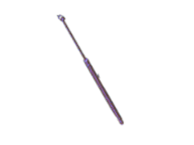 Ford FA1Z-16C826-C Lift Cylinder