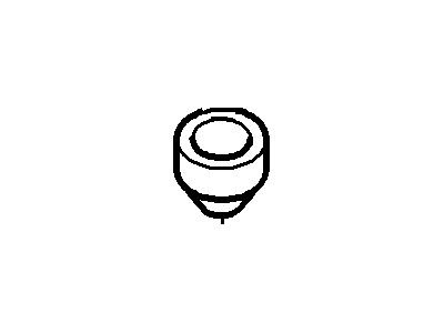 Ford -N802981-S Weatherstrip Plug
