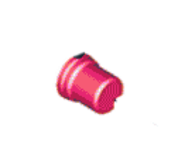 Ford CV6Z-7A010-B Plug - Filler
