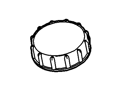 Ford BV6Z-2162-A Filler Cap