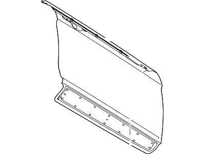 Ford AG1Z-5420200-A Outer Panel